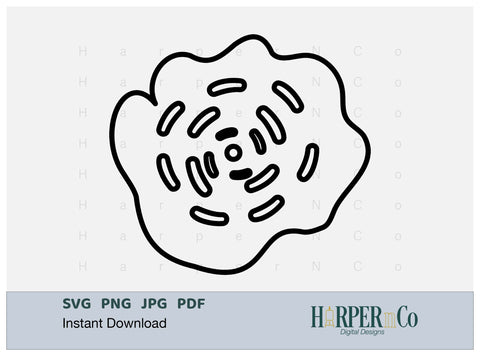 Flower Outline 13 SVG PNG Cut EPS File SVG HarperNCo 