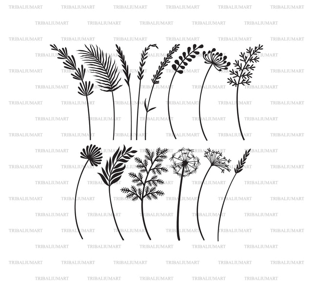Flowers and Plants SVG TribaliumArtSF 