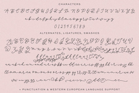 Flowerwood Script SVG Beck McCormick 