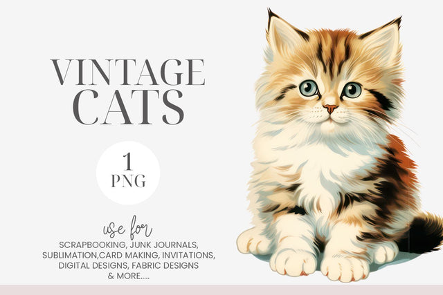 Fluffy Tabby Kitten Vintage Clipart PNG Sublimation BijouBay 