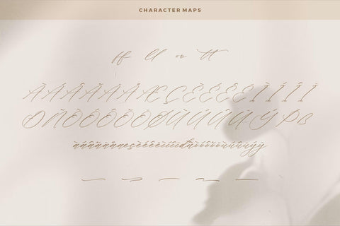 Flumtips Noulevia - Chic Calligraphy Font Font Storytype Studio 