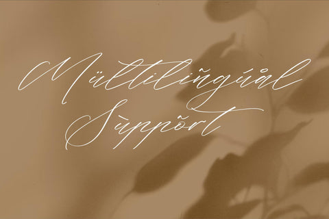 Flumtips Noulevia - Chic Calligraphy Font Font Storytype Studio 