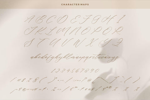 Flumtips Noulevia - Chic Calligraphy Font Font Storytype Studio 