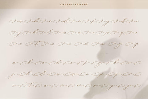 Flumtips Noulevia - Chic Calligraphy Font Font Storytype Studio 