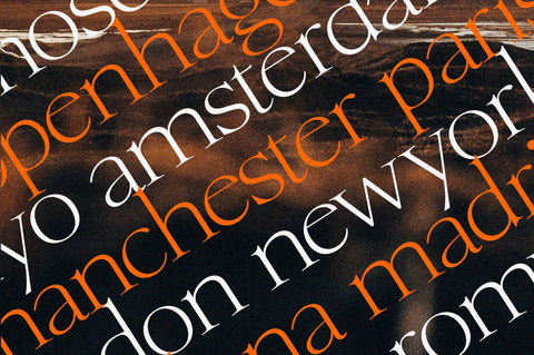 Fluneta SVG Zeenesia Std 