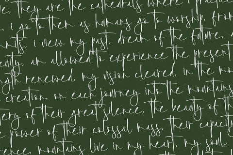 Foresta Heights - Freestyle Stylish Font Font Letterena Studios 