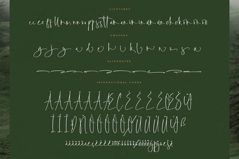 Foresta Heights - Freestyle Stylish Font Font Letterena Studios 