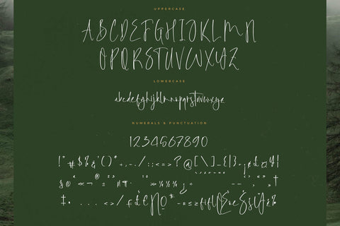 Foresta Heights - Freestyle Stylish Font Font Letterena Studios 