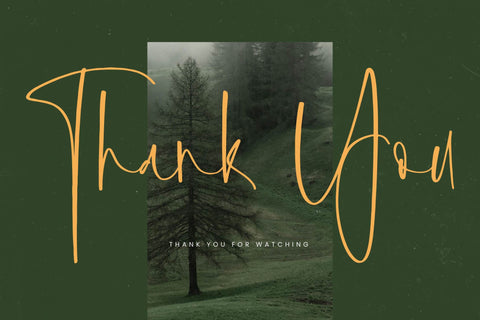 Foresta Heights - Freestyle Stylish Font Font Letterena Studios 