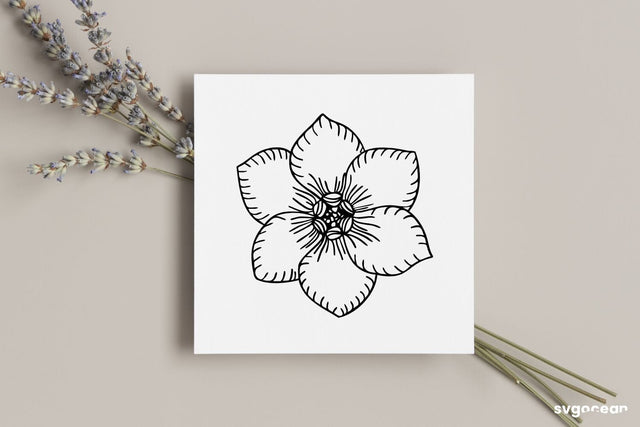 Forget Me Not Flower SVG SVG SvgOcean 