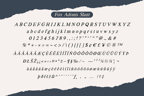 Fox Adonis: 4 Font Styles Font Fox7 By Rattana 