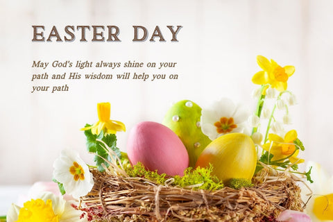 Fox Adonis: 4 Font Styles Font Fox7 By Rattana 