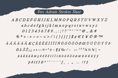 Fox Adonis: 4 Font Styles Font Fox7 By Rattana 