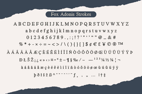 Fox Adonis: 4 Font Styles Font Fox7 By Rattana 