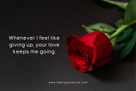 Fox Apricot Font Duo Font Fox7 By Rattana 