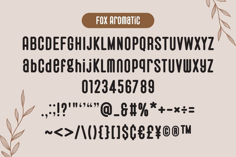Fox Aromatic Font Duo Font Fox7 By Rattana 