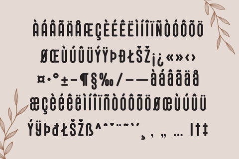 Fox Aromatic Font Duo Font Fox7 By Rattana 