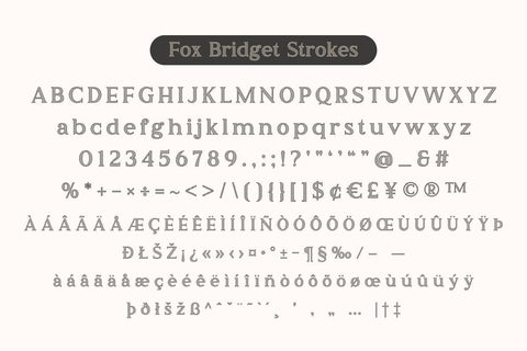 Fox Bridget and Fox Orchid Font Font Fox7 By Rattana 