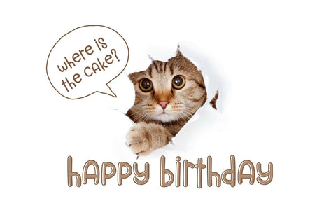 Fox Cycling Font Duo Font Fox7 By Rattana 