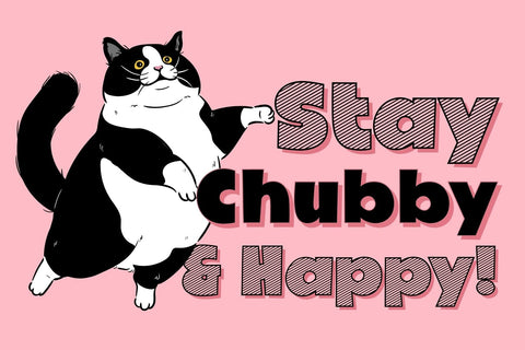 Fox Koolie : 4 Font styles Font Fox7 By Rattana 