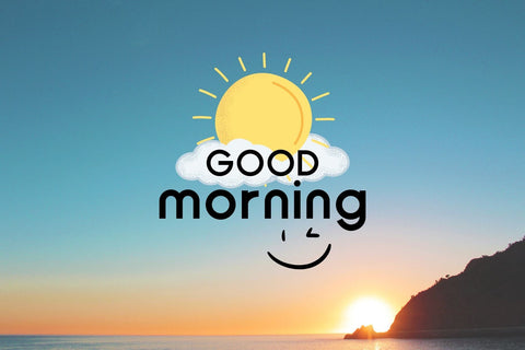 Fox Linea Font Font Fox7 By Rattana 