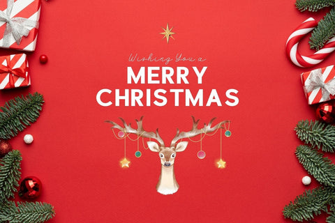 Fox Nuvira & Fox Petalia Font Duo Font Fox7 By Rattana 