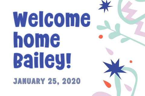 Fox Sadie Fonts 5 Style Font Fox7 By Rattana 