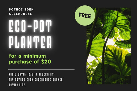 Fox Thinking Fonts Font Fox7 By Rattana 