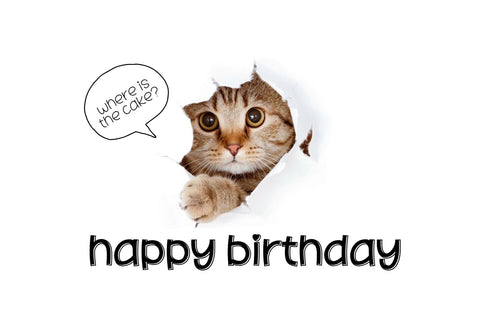 Fox Velina Font Font Fox7 By Rattana 