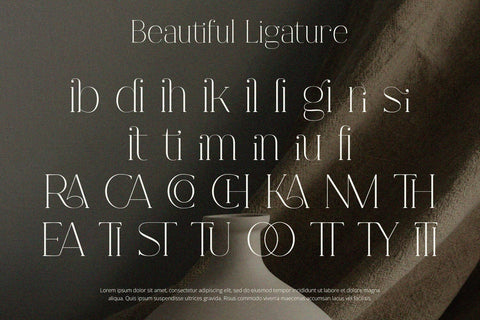 Fracture - Serif Font Font Alpaprana Studio 