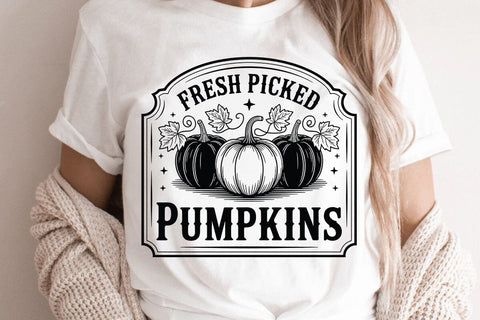 Fresh Picked Pumpkins SVG Angelina750 