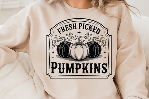 Fresh Picked Pumpkins SVG Angelina750 