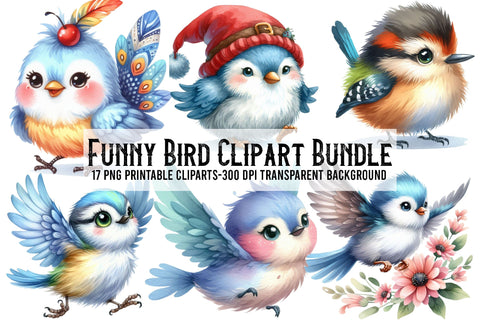 Funny Bird Clipart Bundle Funny Bird Png Sublimation Rupkotha 