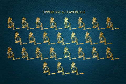 Funny Cat Mandala Monogram Font Dm Letter Studio 