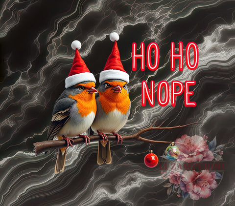 Funny Christmas, Ho Ho Nope, Bird PNG, Digital Download, Sublimation Design, Holiday Humor, Christmas Decor, Cute Bird Graphic Sublimation Li Zamperini 