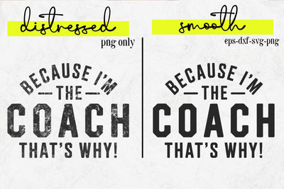 Funny Coach Shirt SVG, PE Teacher, Cheer, Football, Baseball Svg SVG DesignDestine 