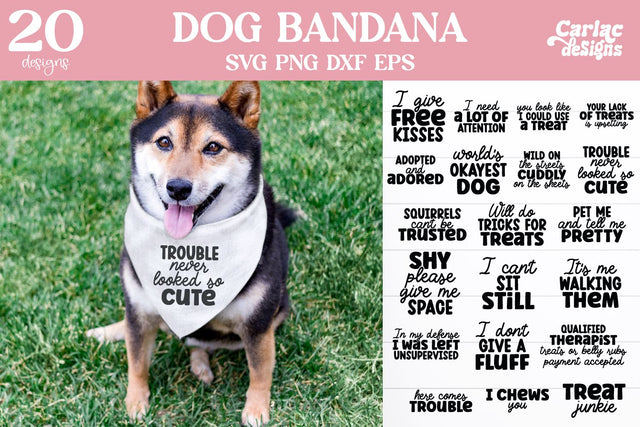 Funny Dog Bandana SVG and Sublimation Bundle SVG Carla C Designs 