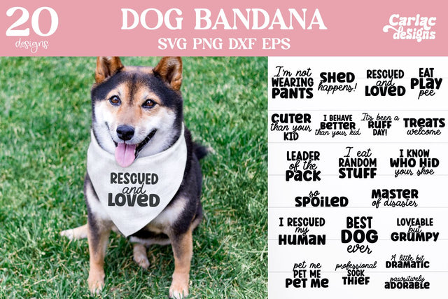 Funny Dog Bandana SVG and Sublimation Bundle SVG Carla C Designs 
