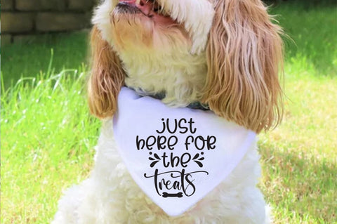 Funny Dog Bandana SVG Bundle SVG Crafty Ideas 