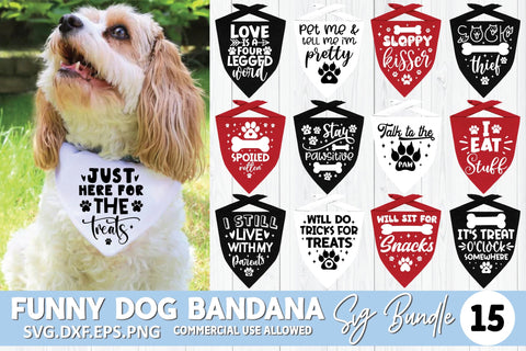 Funny Dog Bandana SVG Bundle SVG Crafty Ideas 