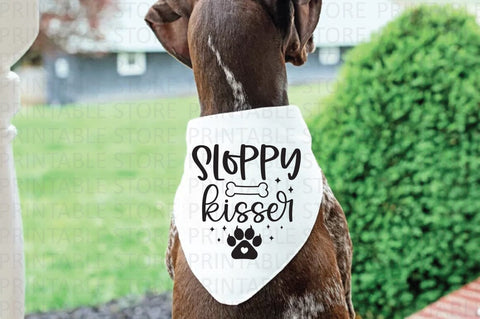 Funny Dog Bandana SVG Bundle SVG Crafty Ideas 