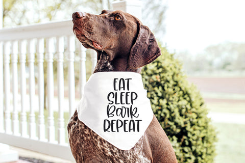 Funny Dog & Cat SVG Bundle, Dog Mom SVG Files for Cricut, Crazy Cat Lady Design, Paw Print PNG for Sublimation, Dog and Cat Lovers Gift SVG Designing Digitals 