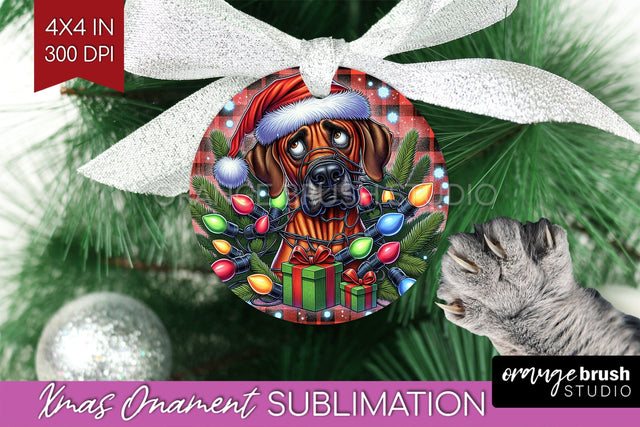 Funny Dog Christmas Ornament PNG Sublimation OrangeBrushStudio 
