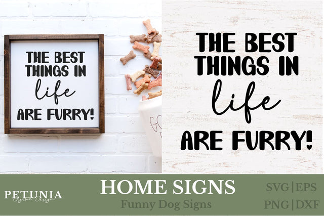 Funny Dog Home Sign SVG | Welcome Home Dog Sign SVG SVG Petunia Digital Design 