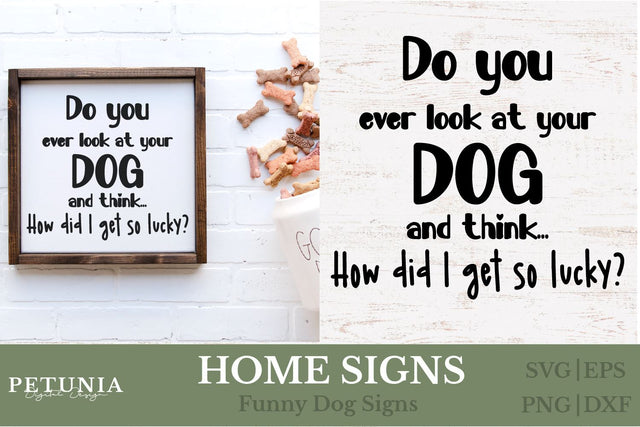 Funny Dog Home Sign SVG | Welcome Home Dog Sign SVG SVG Petunia Digital Design 