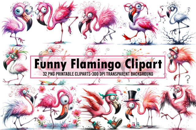 Funny Flamingo Clipart - Cute Flamingo Sublimation designartist 