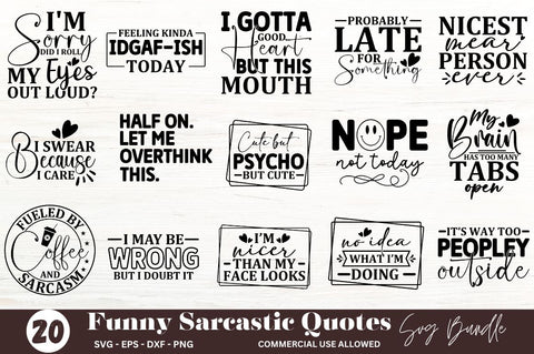 Funny Sarcastic Quotes Bundle SVG Designangry 