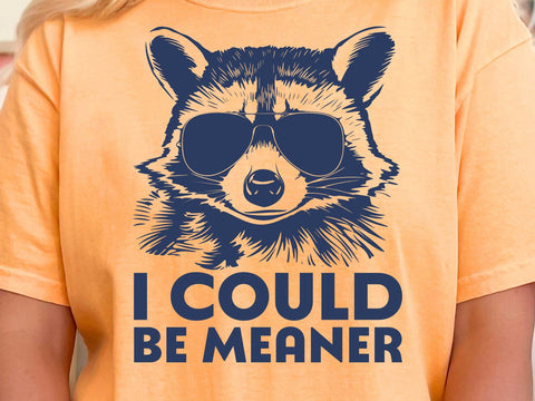 Funny Sarcastic Svg Funny Raccoon PNG I Could Be Meaner PNG Animal Sublimation Retro Raccoon Wearing Sunglasses SVG DesignDestine 