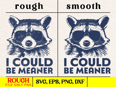 Funny Sarcastic Svg Funny Raccoon PNG I Could Be Meaner PNG Animal Sublimation Retro Raccoon Wearing Sunglasses SVG DesignDestine 