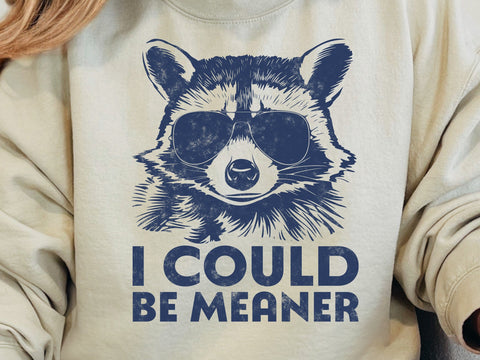 Funny Sarcastic Svg Funny Raccoon PNG I Could Be Meaner PNG Animal Sublimation Retro Raccoon Wearing Sunglasses SVG DesignDestine 